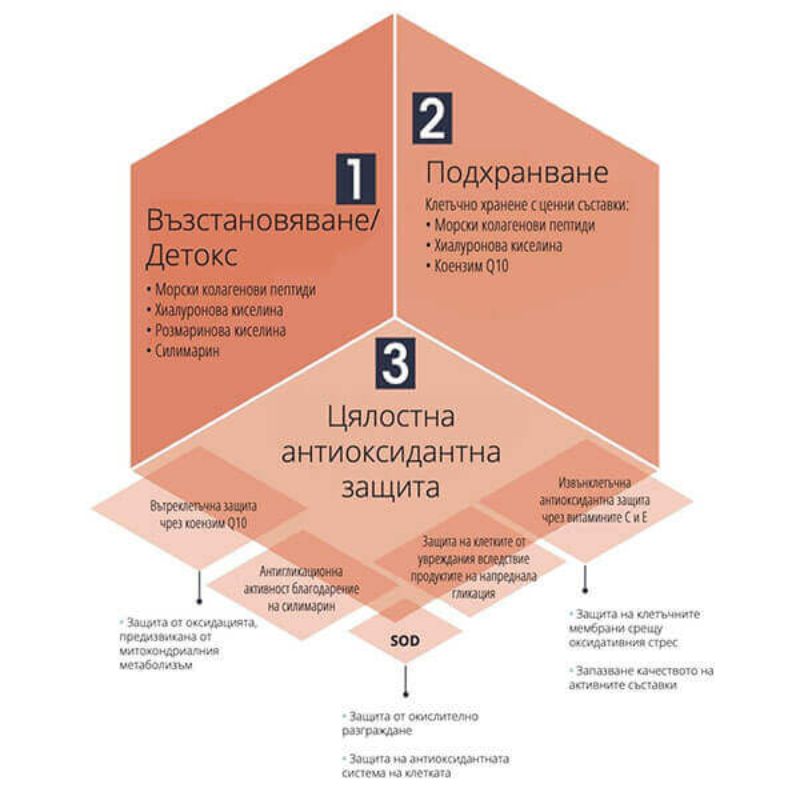 MyCollagenRepair Морски колагенови пептиди за регенериране и подмладяване 28 сашета