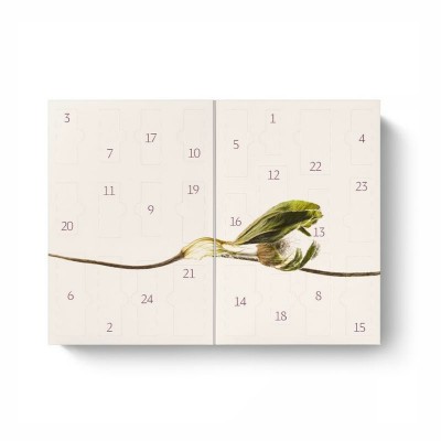 Dr. Hauschka - Natural skincare Advent Calendar Адвент Календар "Дарове от природата"
