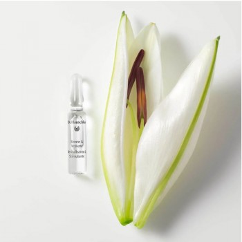 Dr. Hauschka - Renew & Activate Ampoules Обновяващи и активиращи ампули 28 x 2 ml