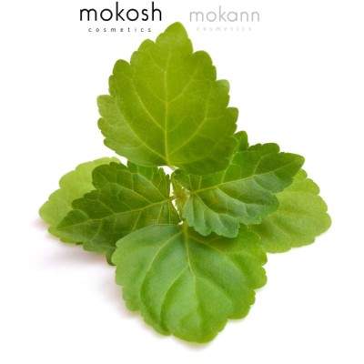 Mokosh Етерично масло Пачули 10ml